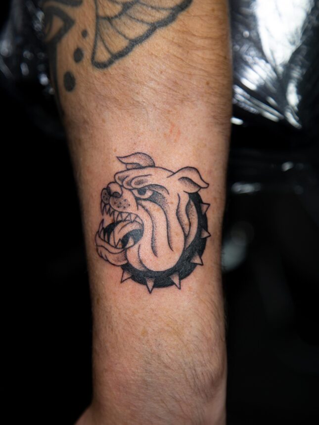 Tatovering af arrig bulldog på underarm