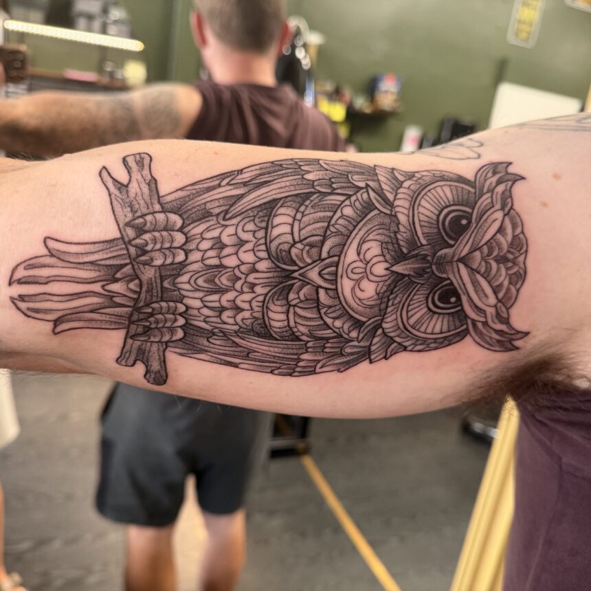 Detaljeret ugle-tatovering på underarm i tatovørstudio